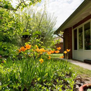 Garten des Integrationskindergartens im Kastanienhof Oldenburg