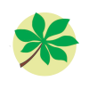 Weißes Logo Kastanienhof Oldenburg